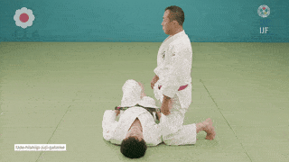 GIF de Chave De Braco Cruzada