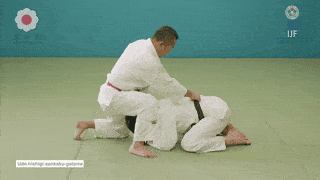 GIF de Chave De Braco Em Triangulo