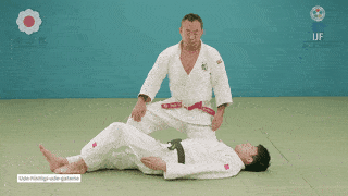 GIF de Chave De Braco
