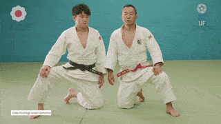 GIF de Chave De Braco Com Axila