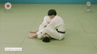 GIF de Escapes De Imobilizacao Flutuante
