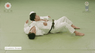 GIF de Escapes Da Imobilizacao Por Tras